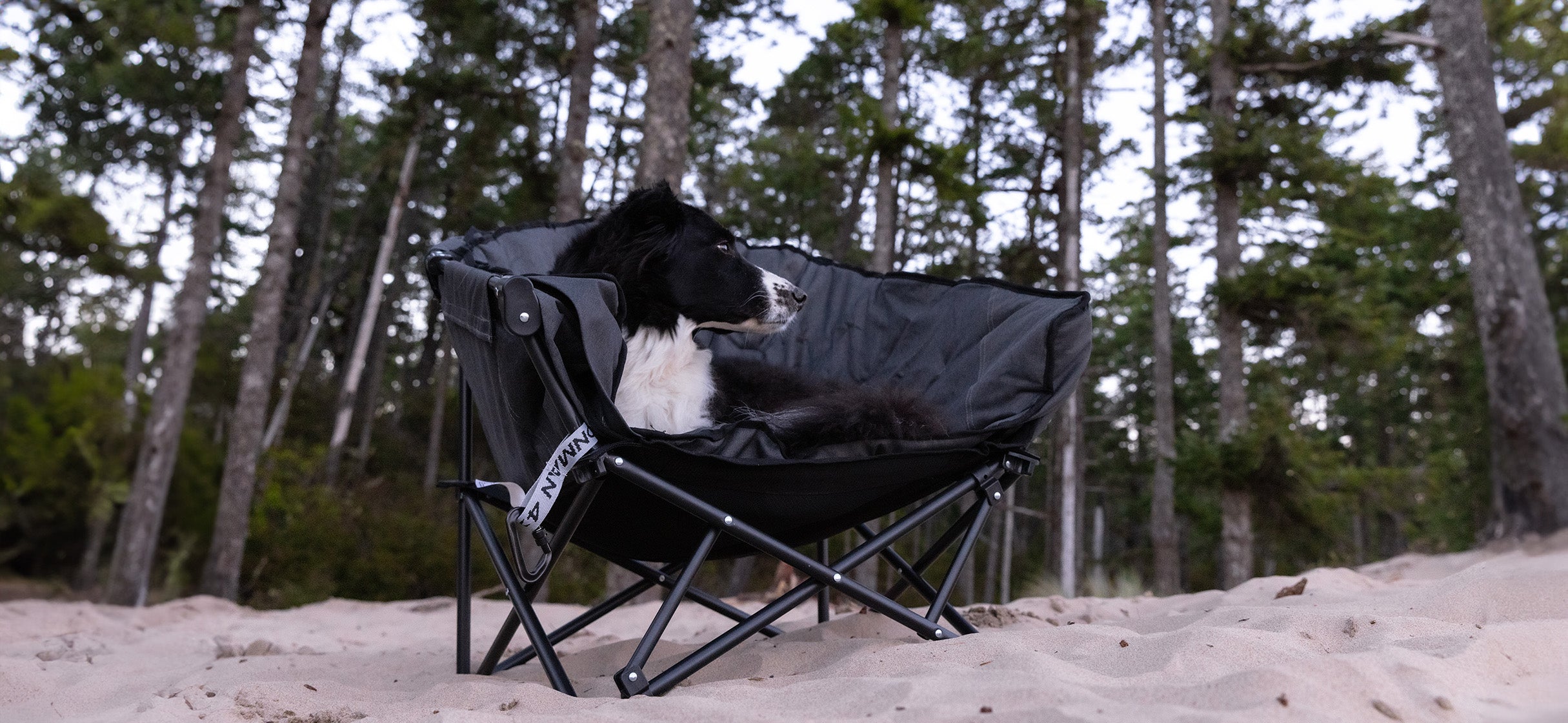 The Dos and Don’ts of Overlanding With a Dog – IRONMAN 4X4 America
