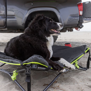 Quick Fold Dog Bed with Padded Mat