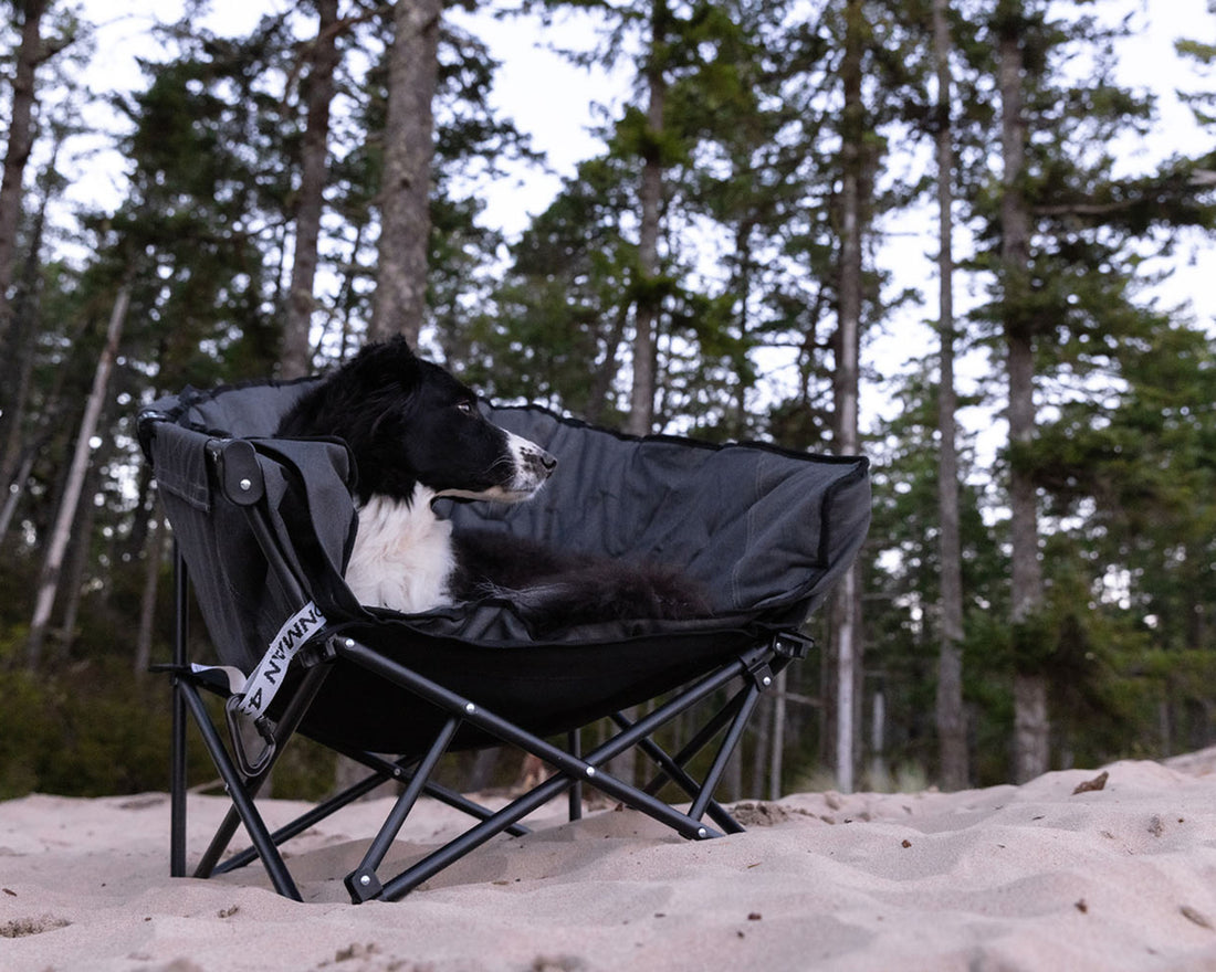 The Pet Lounger | Quick Fold Dog Camp Chair – IRONMAN 4X4 America