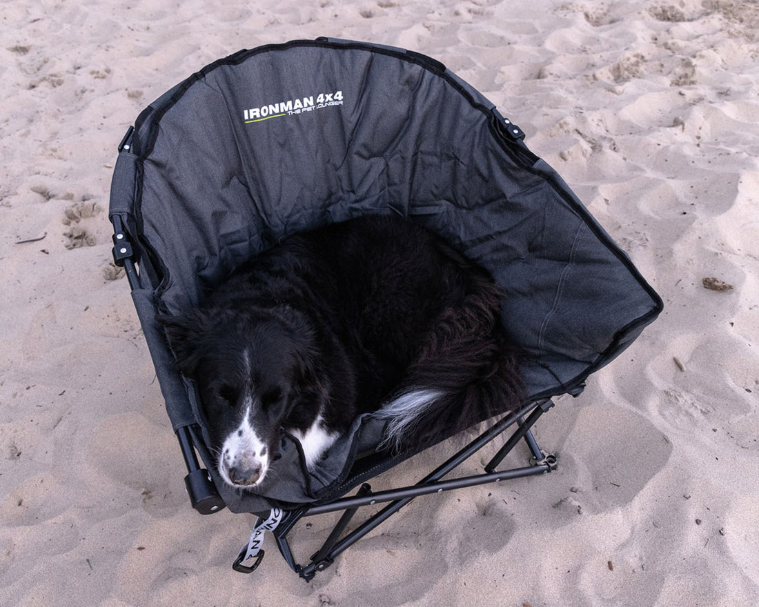 The Pet Lounger | Quick Fold Dog Camp Chair – IRONMAN 4X4 America