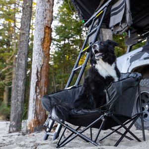 The Pet Lounger | Quick Fold Dog Camp Chair