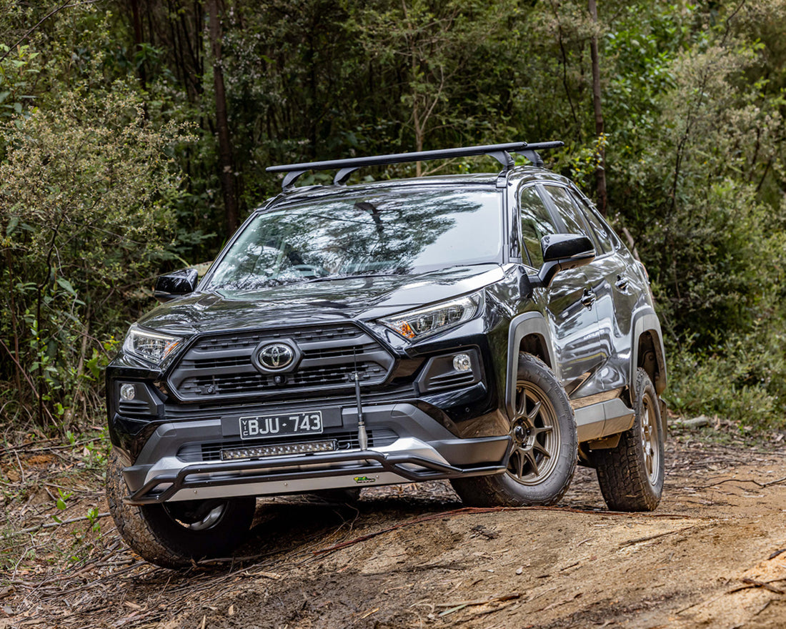 Lowered Rav4 2