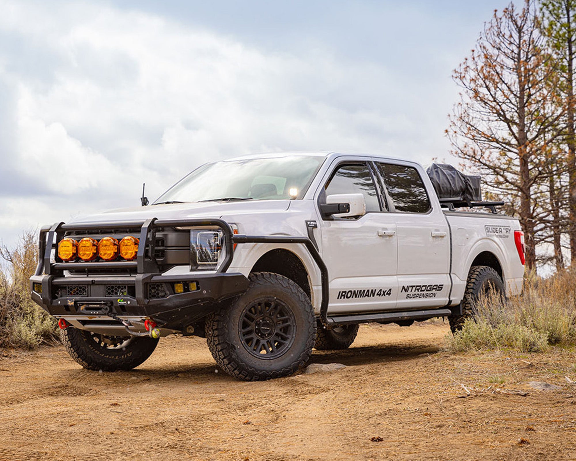 Premium Side Steps | Ford F-150 (2021+)